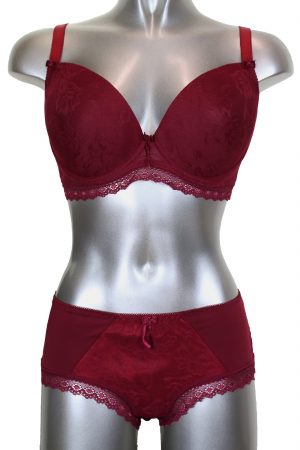 Floral Over Lace Padded Bra and Hipster