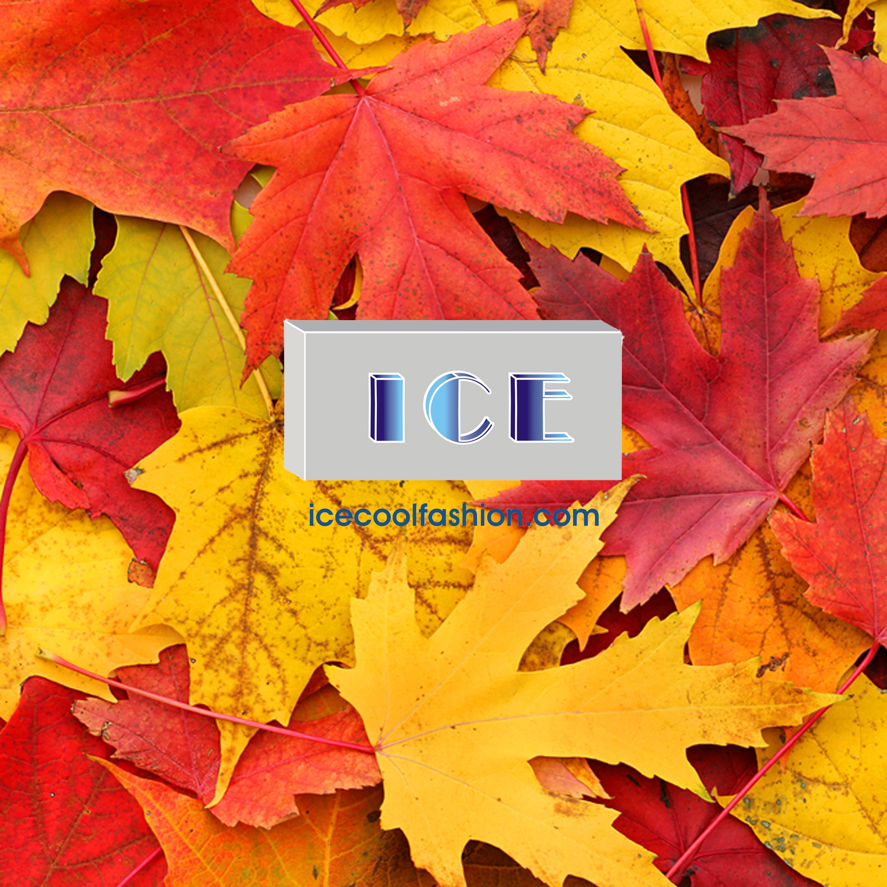 8 Reasons Why You Should Get Excited For Autumn